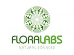 create a business logo